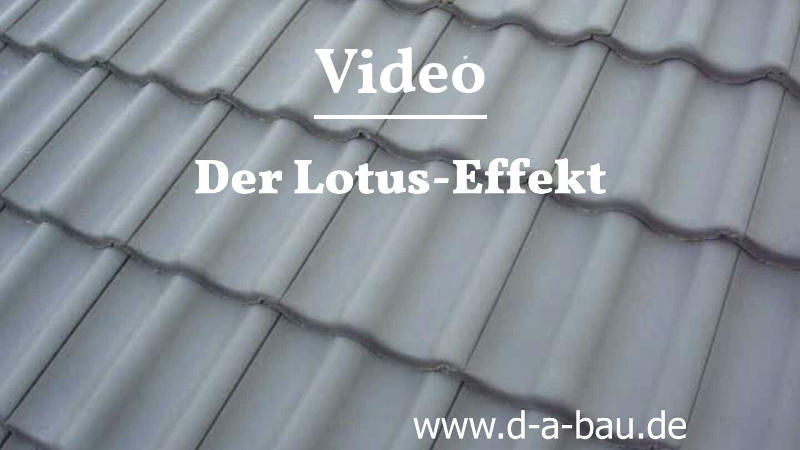 Video Dachreinigung Lotus-Effekt