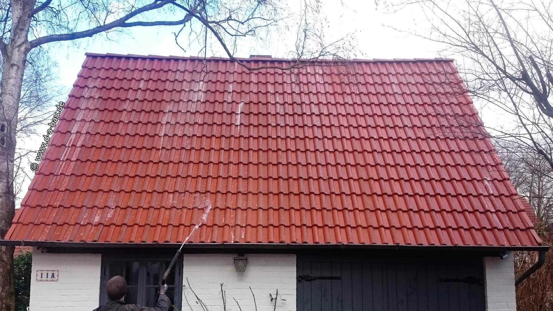 Algenmittelbehandlung Bremen