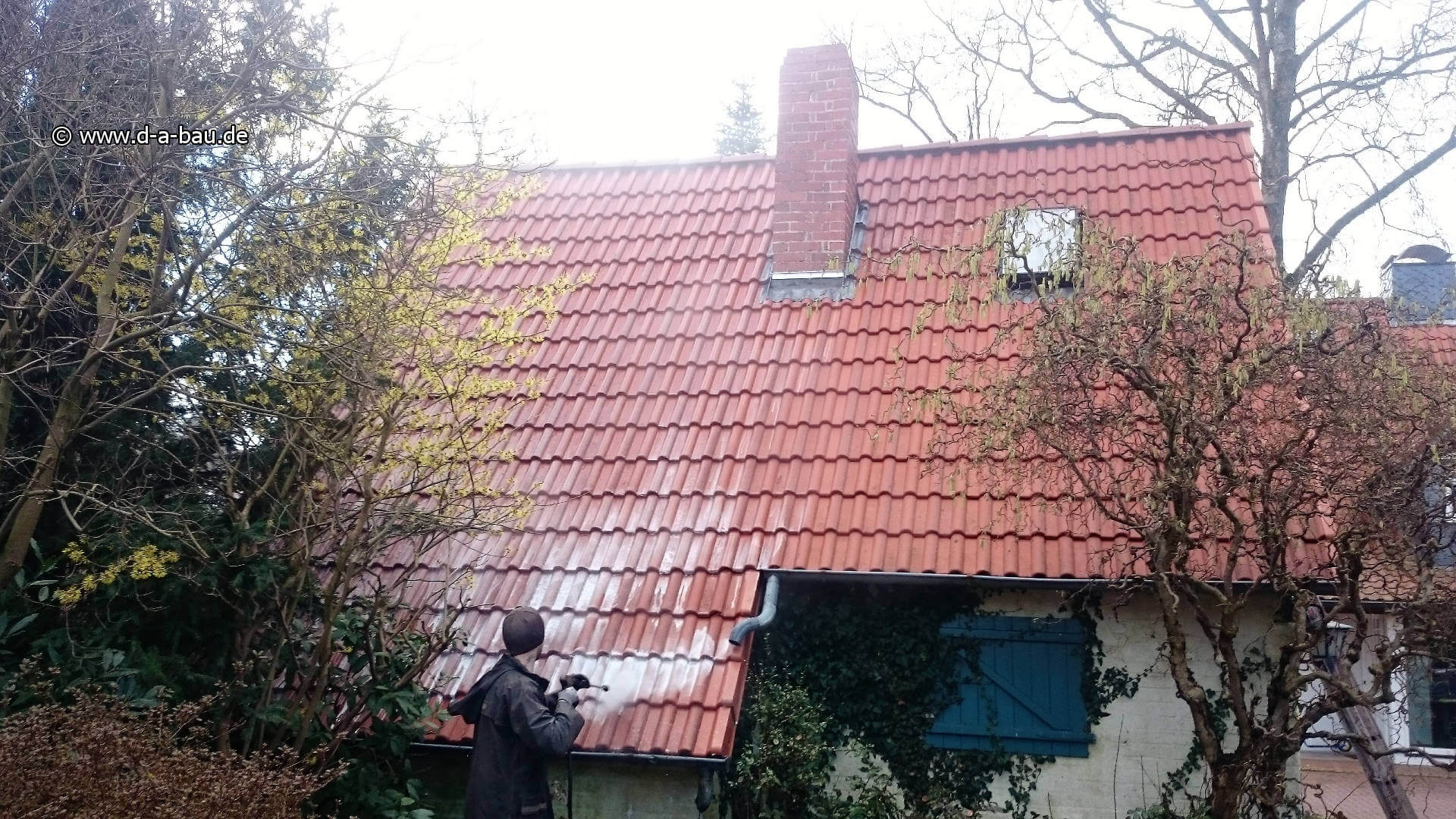 Algenmittelbehandlung Bremen