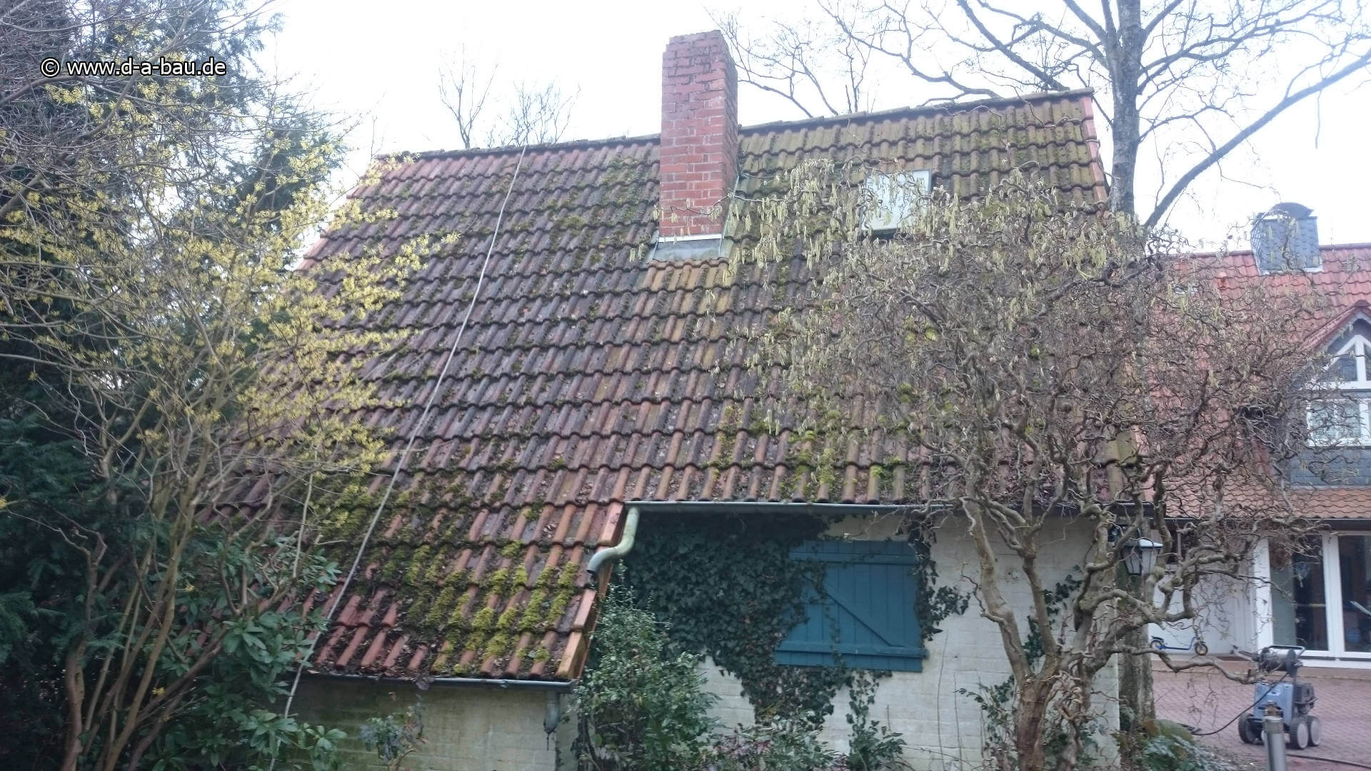 Algenmittelbehandlung Bremen