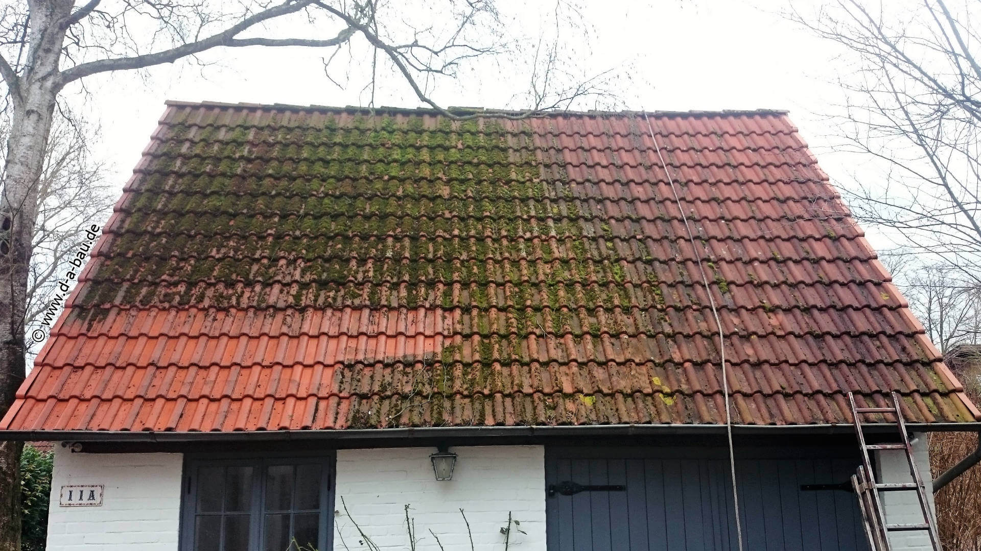 Algenmittelbehandlung Bremen